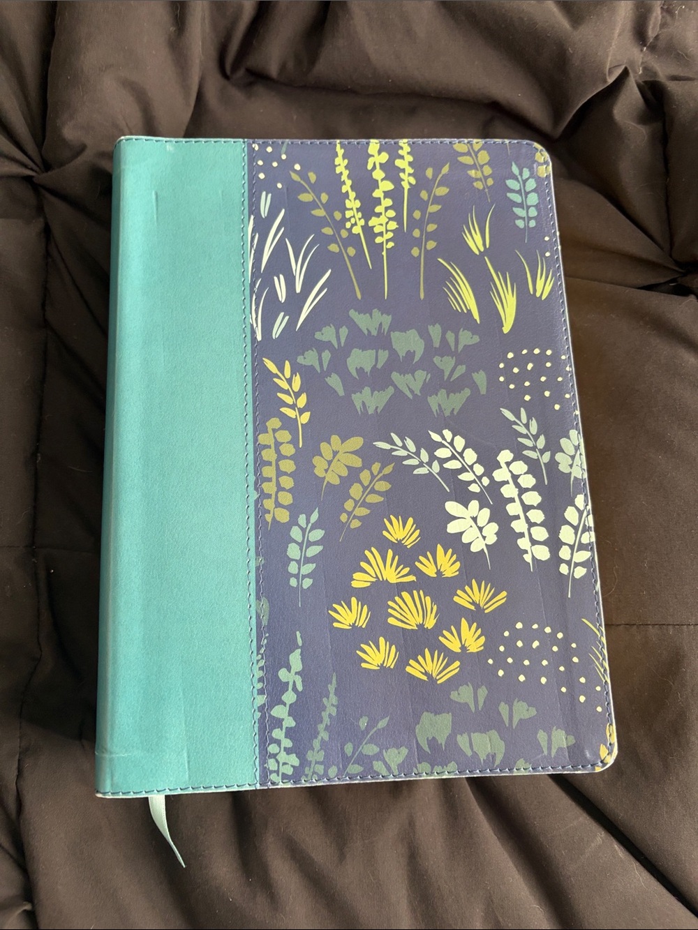 Life Study Bible